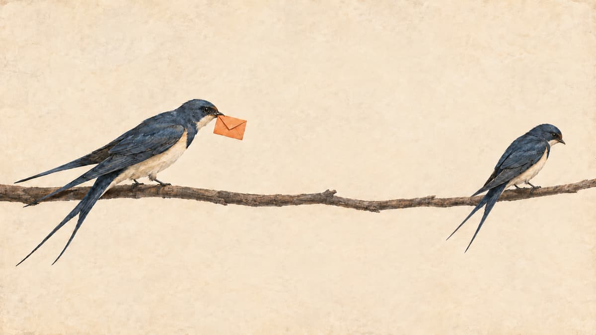 A parent swallow holds an orange envelope while its grown offspring faces away, showing what to say to your estranged adult child